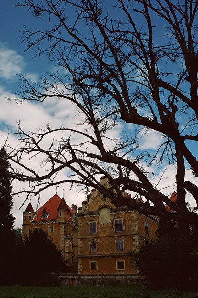 maruevecchorwacja.jpg
