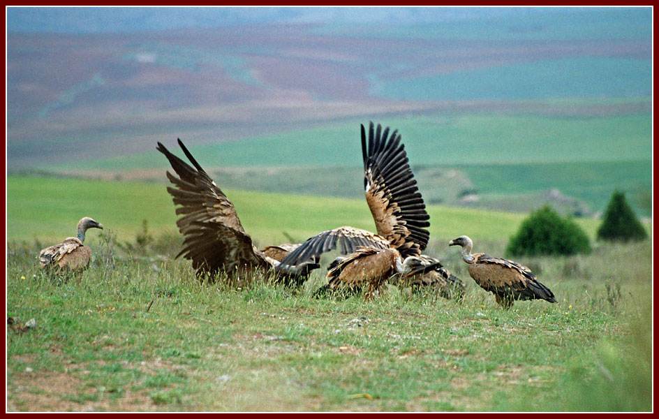 hiszpania2005najciekawszezdjcia10.jpg