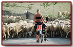 hiszpania2005najciekawszezdjcia13_small.jpg