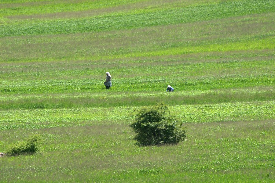 parknarodowyprespaalbania14.jpg