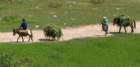parknarodowyprespaalbania15_small.jpg