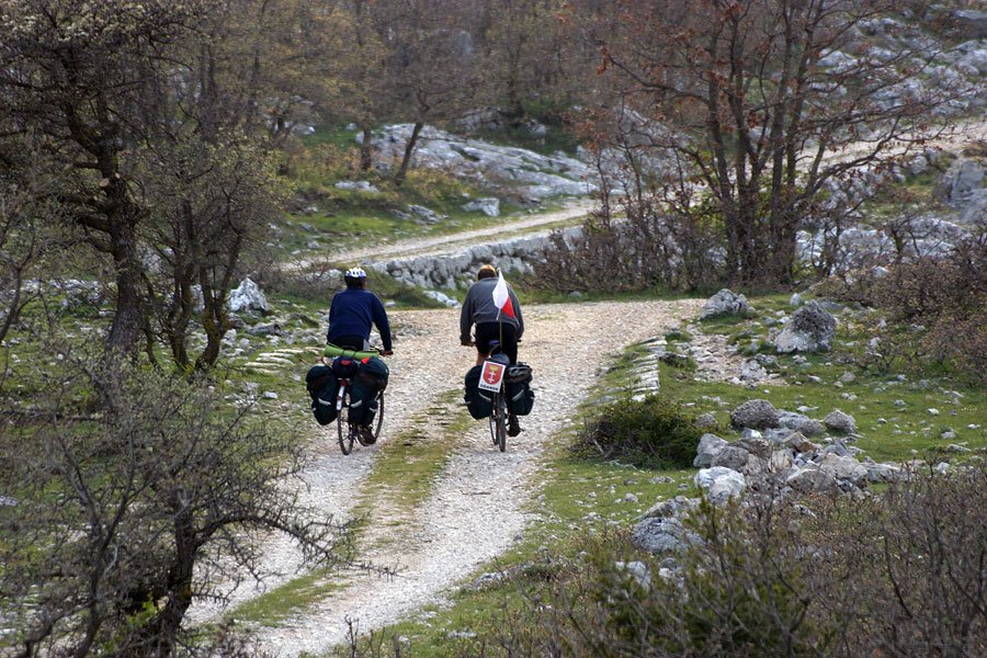 grybiokovowchorwacji5.jpg