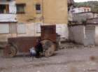 albaniaspuciznaenverahody7_small.jpg