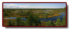 estonia200717_small.jpg