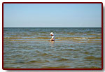 estonia200715_small.jpg