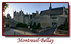 france_loire14_small.jpg