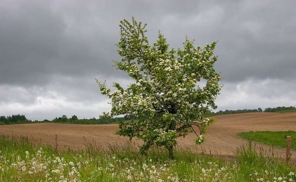 warmia14.jpg
