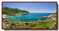 corse_01_11a.jpg