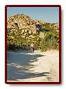 corse_02_02a.jpg