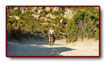 corse_02_02b.jpg