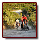 corse_02_05a.jpg