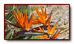 corse_05_07b.jpg