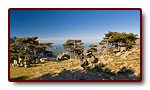 corse_06_12b.jpg