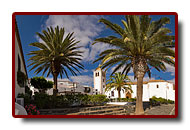 fuerteventura_10a.jpg