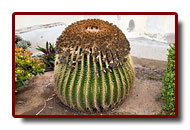 grancanaria_11a.jpg