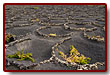 lanzarote_15b.jpg